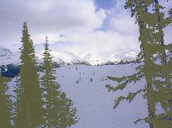 View from Pikas at the top of the gondola at Whistler