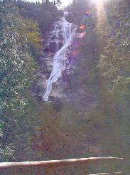 Shannon Falls from the viewpoint up the stairs